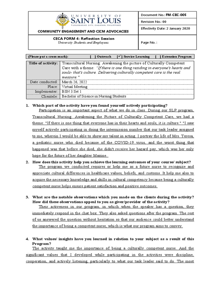 Culturally Competent Nursing Workshop | PDF | Nursing | Health Care