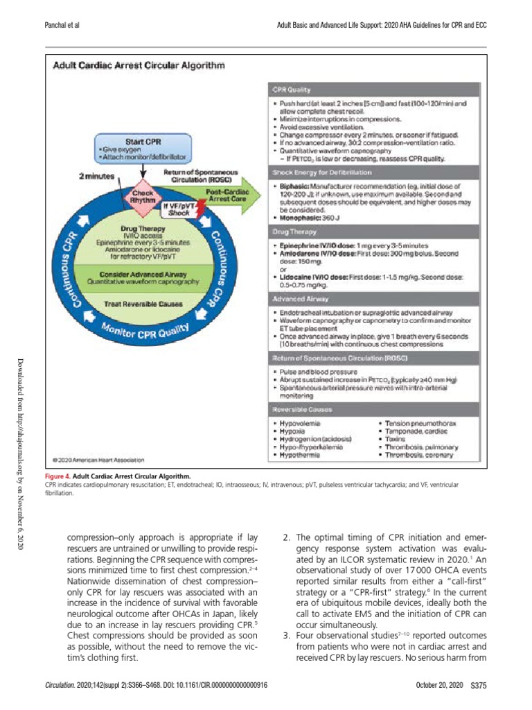 Circular Algorithm Adult Cardiac Arrest | PDF | Cardiopulmonary ...