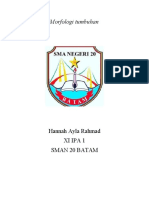 Morfologi Tumbuhan XI IPA 1