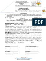 FORMATO SANCIONES C. CONVIVENCIA Y RECTORÍA -025