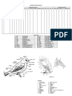 Parameter Morfometrik Aves