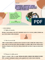 Diapositivas Plan de Monitoreo- Grupo 04