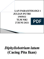 Kesimpulan Parasitologi Diphyllobotrium Latum Julian Putri 1905011 TLM NR2 (27juni2021)