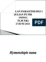 Kesimpulan Parasitologi Hymenolepis Nana Julian Putri 1905011 TLM NR2 (27juni2021)