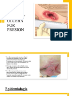 Ulcera Por Presion Dra Neyla