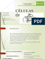 Celulas Oseas, Powerpoint