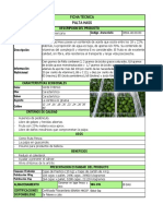 FICHA-TECNICA-PALTA-HASS-1-comprimido