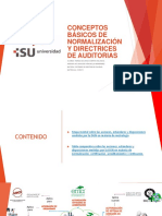 Conceptos Básicos de Normalización y Directrices de Auditorias