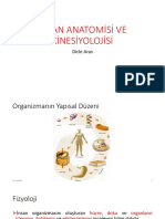 İnsan Anatomisi Ve Kinesiyolojisi: Dicle Aras