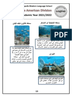 الملحقات After PDF