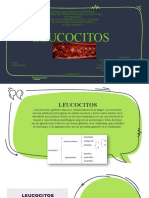 Leucocitos