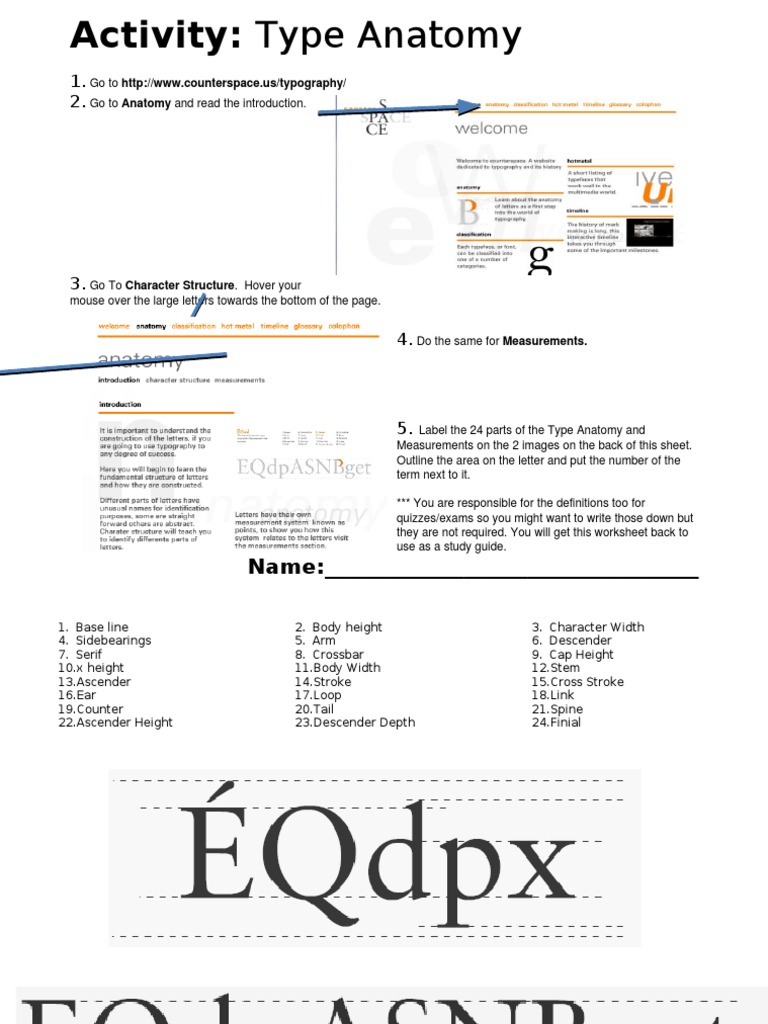 Type Anatomy Study Guide | PDF