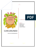 Monografia de La Curcuma 4to A
