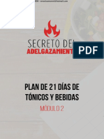 MÓDULO 2 - Plan de 21 Días de Tónicos y Bebidas