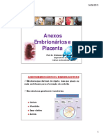 Anexos embrionários e formação da placenta