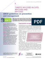 Rare Opportunistic Mycoses in Cats: Phaeohyphomycosis and Hyalohyphomycosis