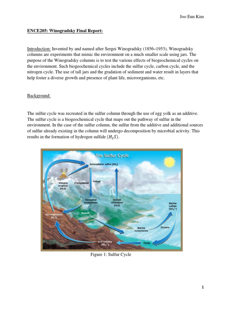 Winogradsky Columns Final Report | PDF | Redox | Alkalinity