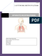 aparato respiratorio