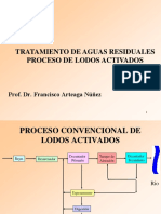 D - Lodos Activados