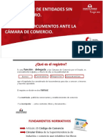 Constitución Entidades Sin Ánimo de Lucro PDF