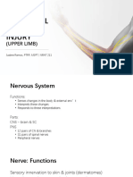 PNI: Understanding Peripheral Nerve Injuries