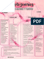 Mapa Conceptual Protozoarios PDF