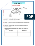 Ficha de Trabajo Sobre Los Sentidos