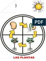 Cuadernillo Plantas