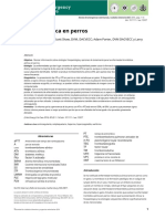 Aortic Thrombosis in Dogs - En.es