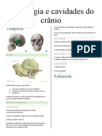 Osteologia e Cavidades Do Crânio