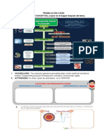 Documento Sin Título