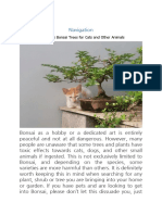 Navigation: Dangerous Bonsai Trees For Cats and Other Animals