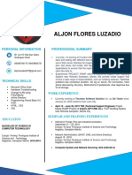 Aljon Flores Luzadio: Personal Information Professional Summary