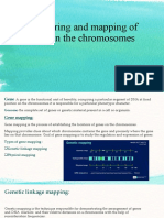 Numbering and Mapping of Genes On The Chromosomes