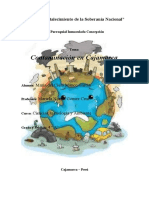 Contaminación en Cajamarca CTA