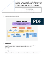 ACTOS NERVIOSOS F