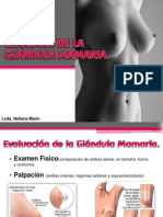 CITOLOGIA MAMARIA Clase, Diapositivas Creativas PDF