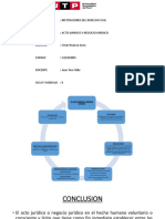 Acto Juridico y Negocio Juridico
