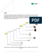 Aprofundamento Biologia Evolução Humana 27-06-2022