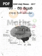 2017 Physics Wiwaranaya by Prof Rosa | PDF