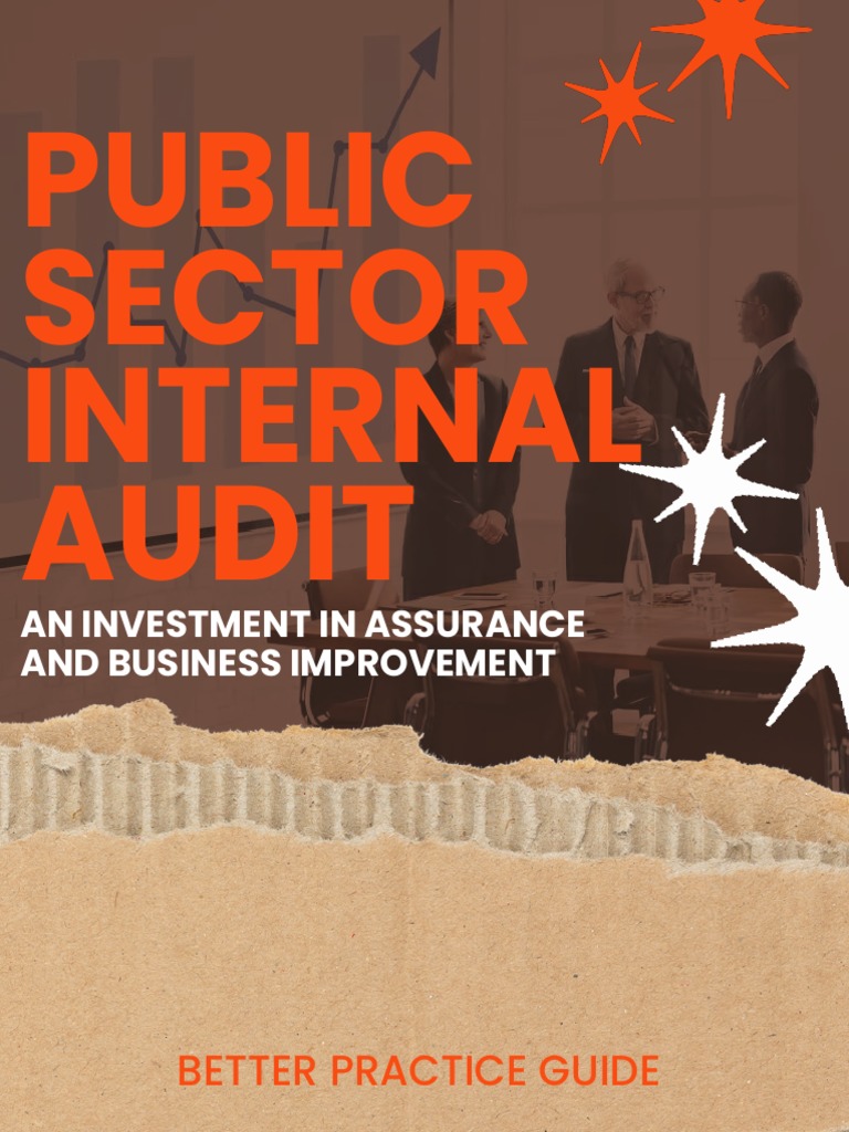 Public Sector Internal Audit Guide | PDF | Internal Audit | Audit