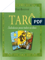 Resumo Taro Sabedoria para Todos Os Dias Hajo Banzhaf