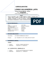 CV en Word - C.Quijandria