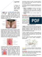 ANDRÉ - Anatomia do sistema genital feminino - Isabella Rezende
