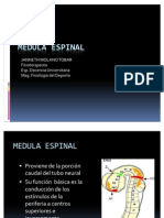 Medula Espinal-Vias