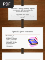 Aprendizaje y Procesos Cognitivos, Memoria y