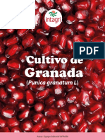 Cultivo de Granada (Punica Grabatum L)