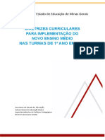 Diretrizes Curriculares para Implementação Do Novo Ensino Médio Nas Turmas de 1° Ano em 2022