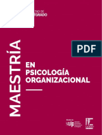 Maestria en Pscologia Organizacional
