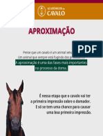 Sonhar com cavalo: simbolismo e significado